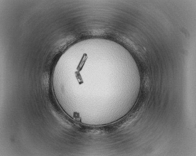 X0000111920542200908101223