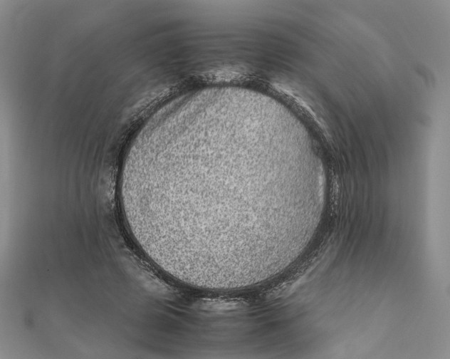 X0000111920545200908101223