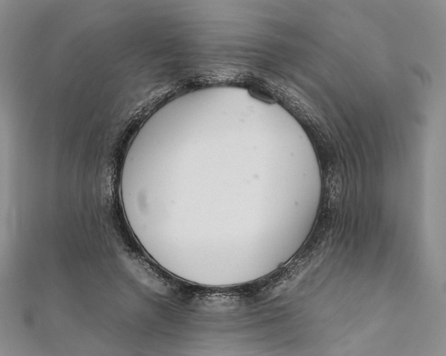 X0000111920546200908101223