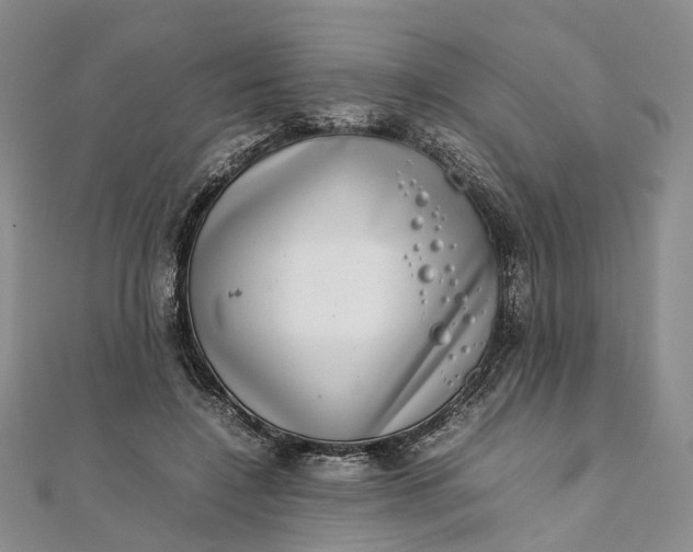 X0000111920548200908101223