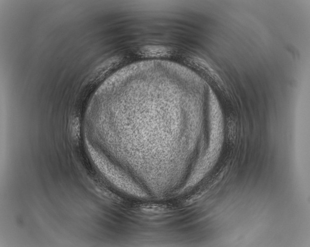 X0000111920549200908101223