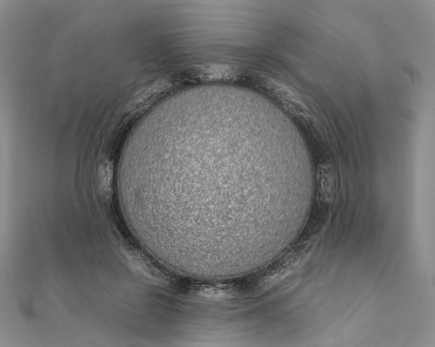 X0000111920550200908101223