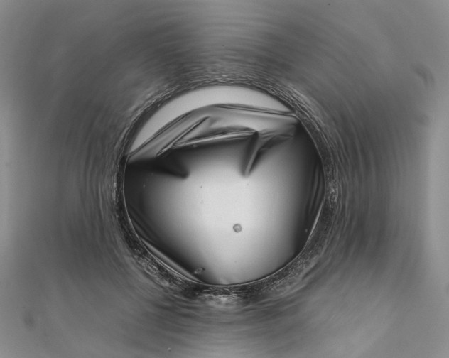 X0000111920552200908101223