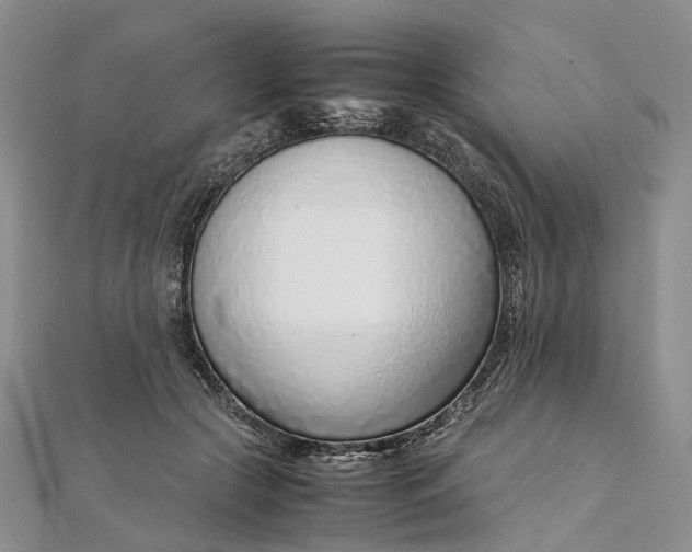 X0000111920553200908101223