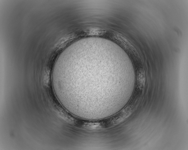 X0000111920554200908101223