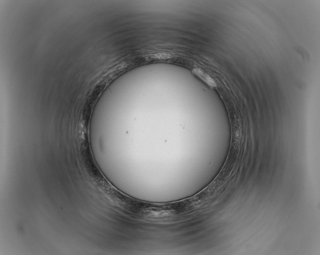 X0000111920555200908101223