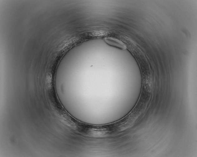 X0000111920556200908101223