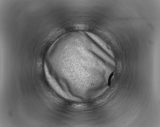 X0000111920557200908101223