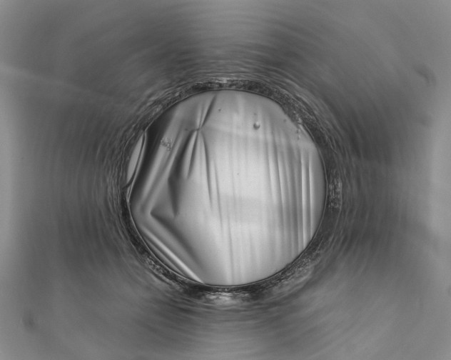 X0000111920558200908101223