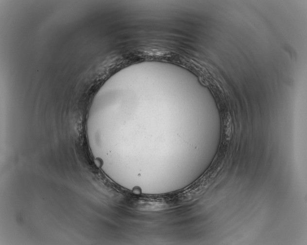 X0000111920559200908101223