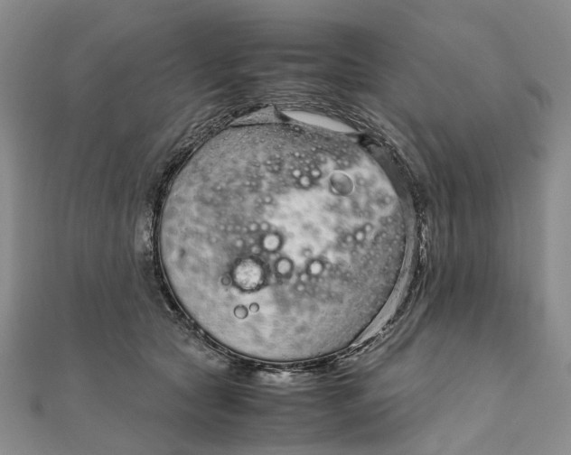 X0000111920561200908101224