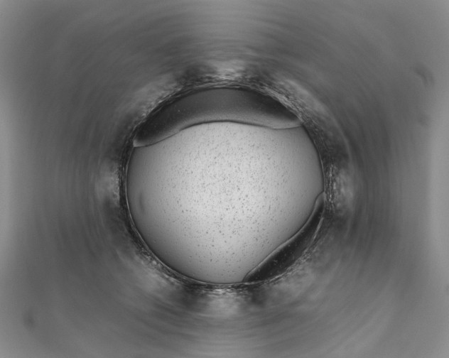 X0000111920562200908101224