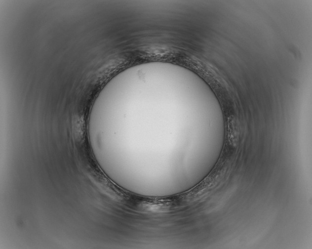 X0000111920563200908101224