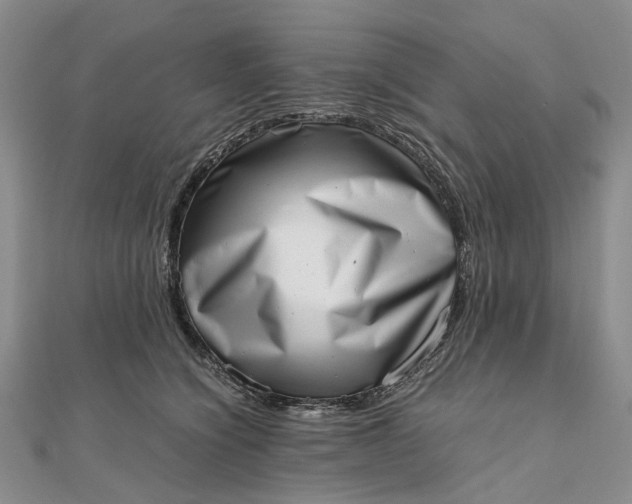 X0000111920564200908101224