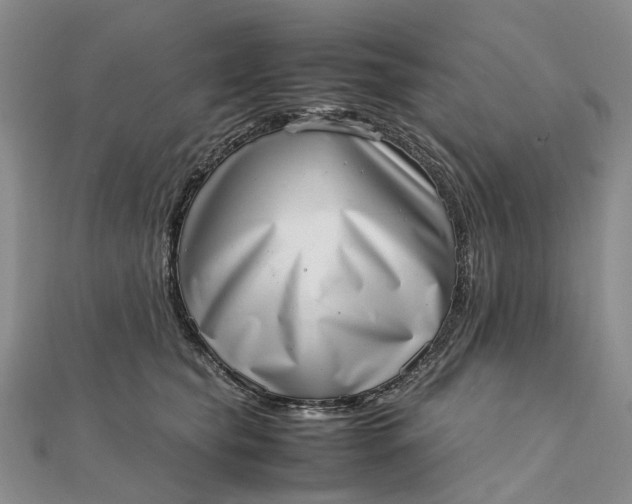 X0000111920565200908101224