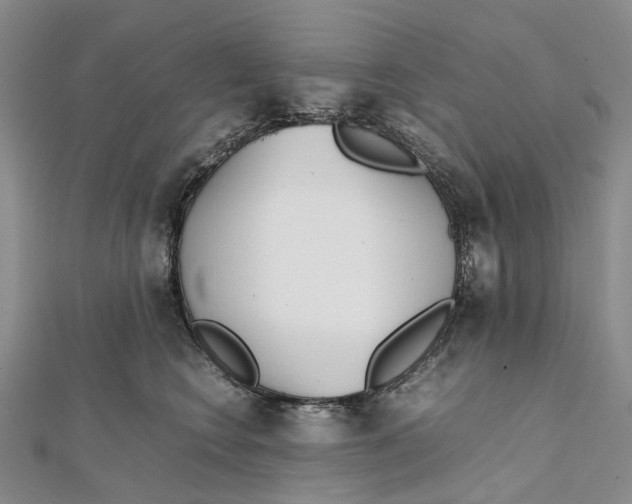 X0000111920566200908101224