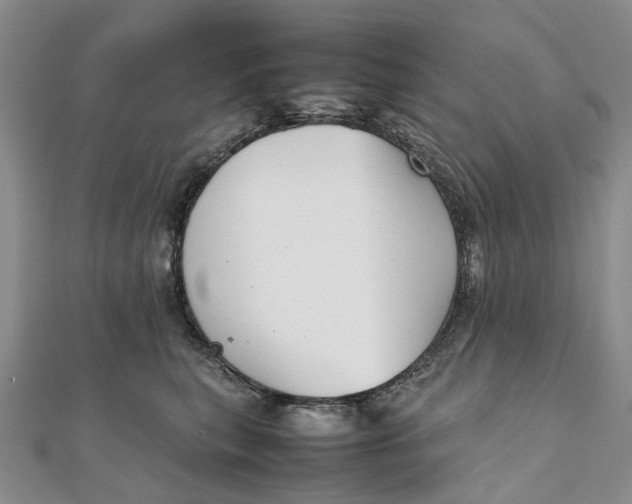 X0000111920567200908101224