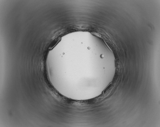 X0000111920568200908101224