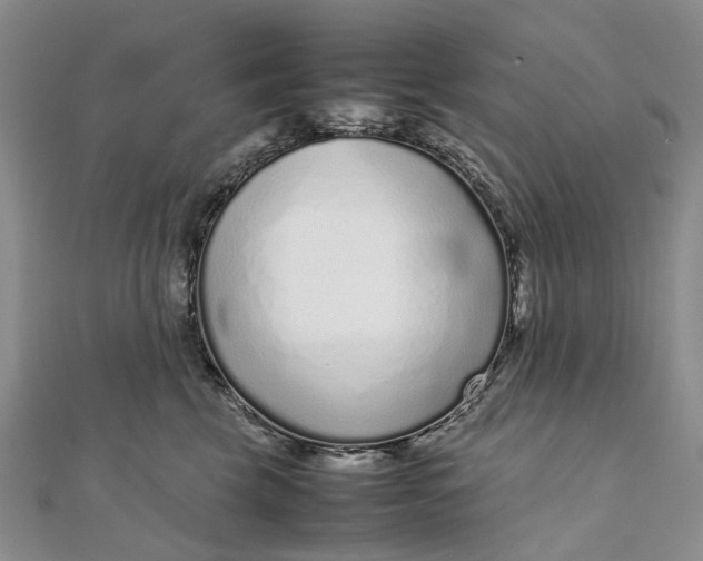 X0000111920569200908101224