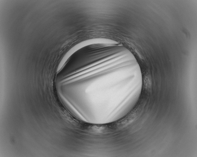 X0000111920570200908101224