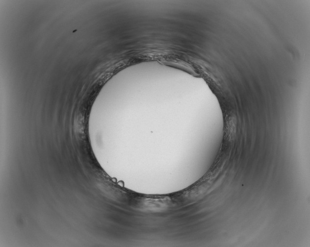 X0000111920571200908101224