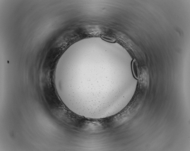 X0000111920572200908101224