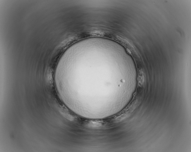 X0000111920573200908101224