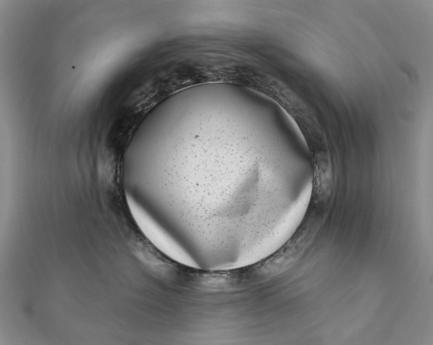 X0000111920574200908101224