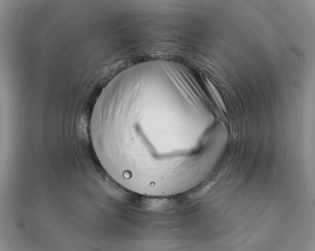 X0000111920575200908101224