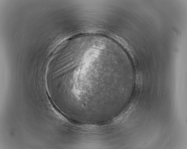 X0000111920577200908101223