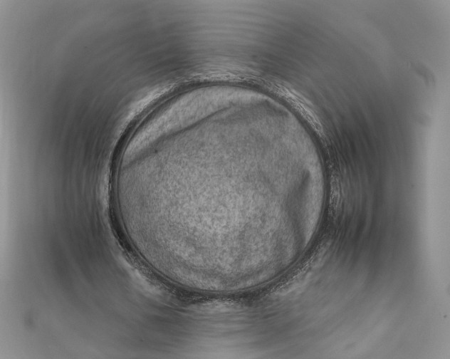 X0000111920578200908101223