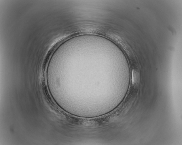 X0000111920579200908101223