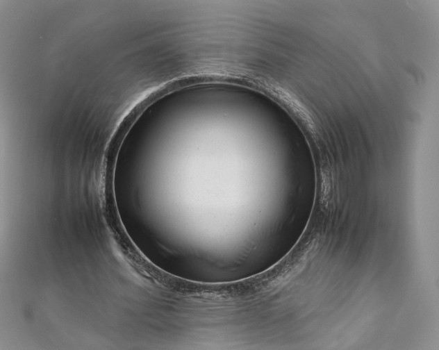 X0000111920580200908101223