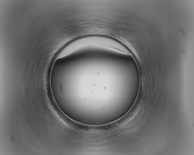 X0000111920581200908101223