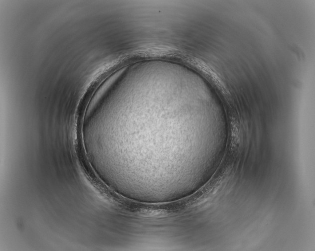 X0000111920582200908101223