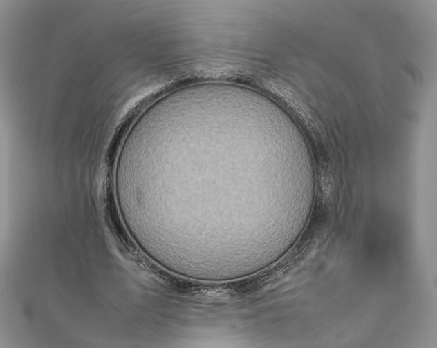 X0000111920583200908101223