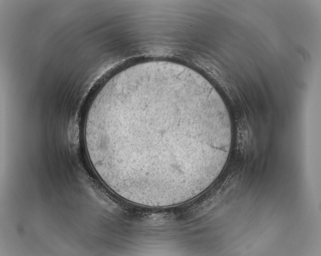 X0000111920584200908101223