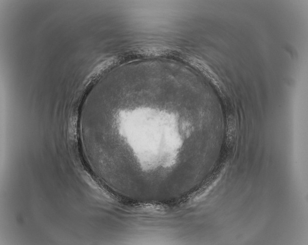 X0000111920585200908101223