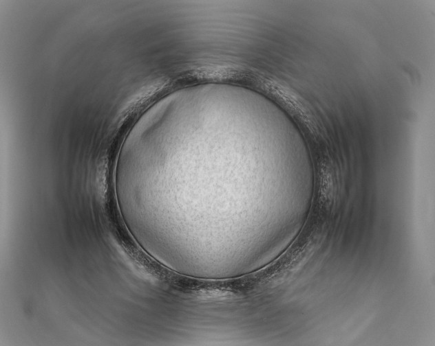 X0000111920586200908101223