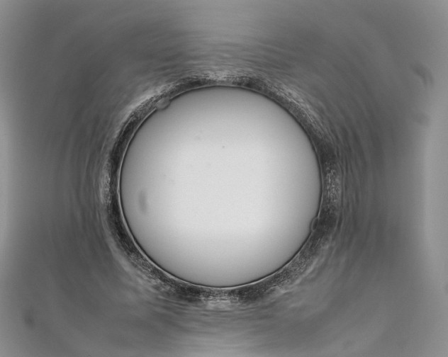 X0000111920587200908101223