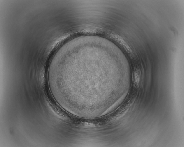 X0000111920588200908101223