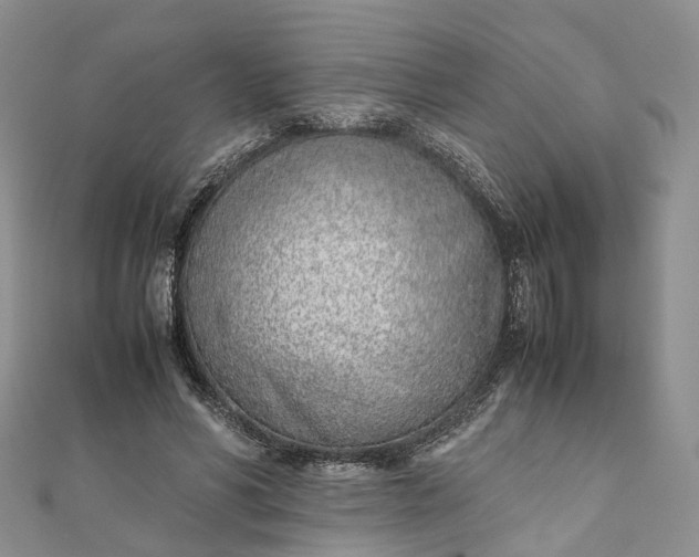 X0000111920590200908101223