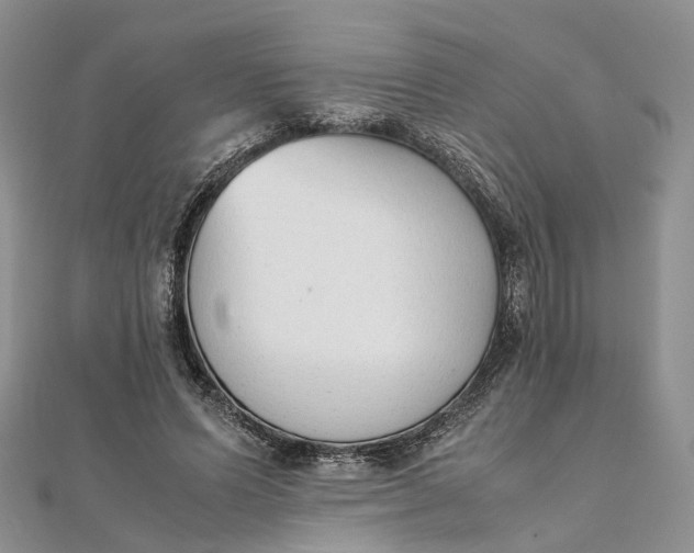 X0000111920591200908101223