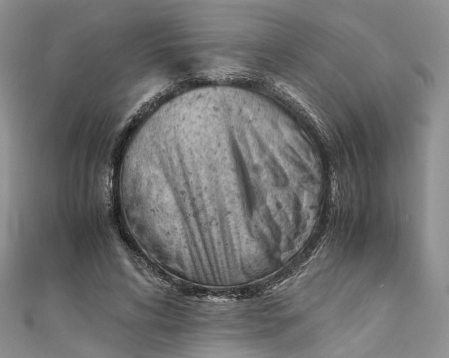 X0000111920592200908101223