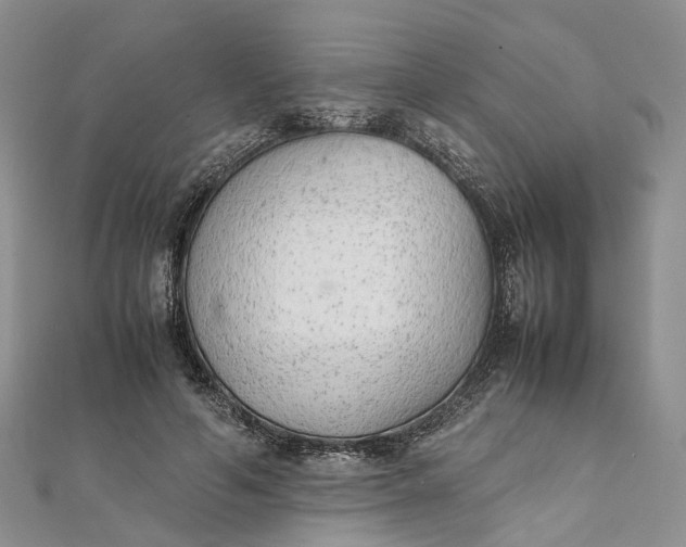 X0000111920594200908101223