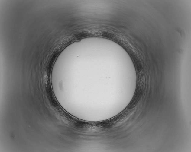 X0000111920597200908101223