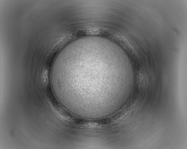 X0000111920598200908101223