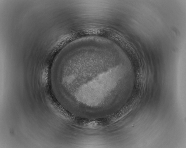 X0000111920600200908101223