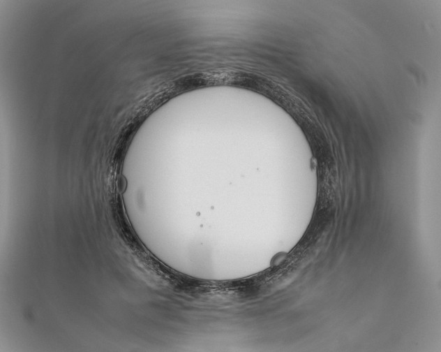 X0000111920601200908101223