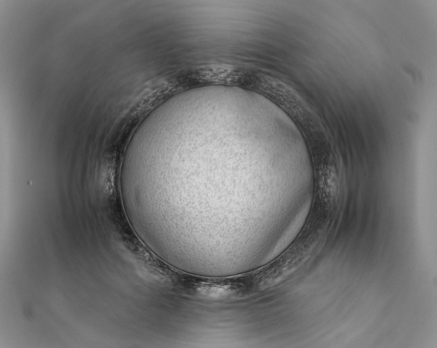 X0000111920602200908101223